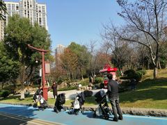 -堤角公园