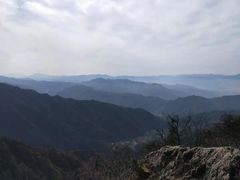 -王顺山国家森林公园
