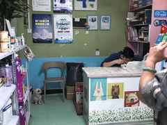 -邦泰·异宠动物医院