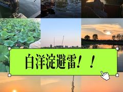 -白洋淀景区