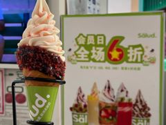 -Salud撒露欧洲冻酸奶(五道口购物中心店)