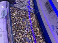 -澜悦港海鲜体验主题餐厅