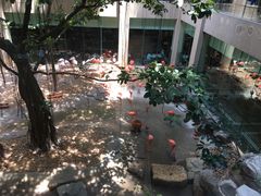 -麒麟中餐厅·经典粤菜·地道菜式老字号(广州长隆酒店)