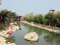 -茯茶镇