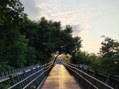 -福道