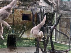-南宁市动物园