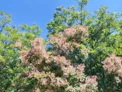 -南翠屏公园