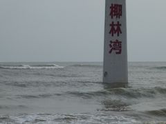 -东郊椰林