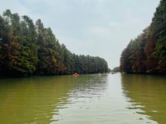 -上海海湾国家森林公园