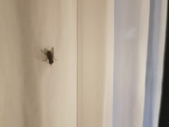 -庆江南江南菜(琴湖溪里花园城店)