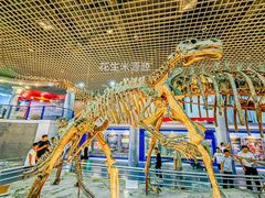 -国家自然博物馆