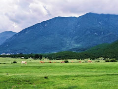 -玉湖村