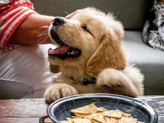 -好利来(西美花街店)