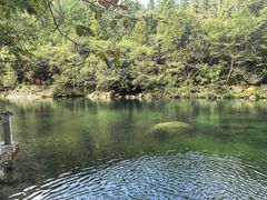 -石台牯牛降景区