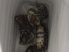 -乡乐园蟹庄·阳澄湖农家乐