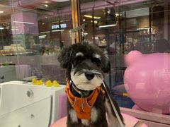 -FAELING PETS美天灵宠物(富力广场店)