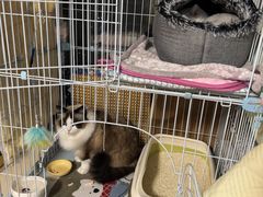 -达爱动物医院·犬猫分区·CT·复杂眼科(远洋山水分院)