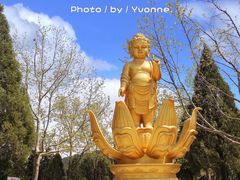 -龙口南山旅游景区