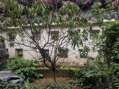 -桃园盛宴·岭南粤菜·手工茶点(南庄店)