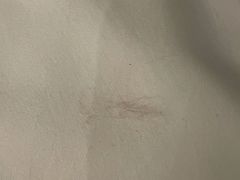 -桔子酒店(上海西藏北路地铁站店)