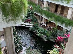 -广州白天鹅宾馆