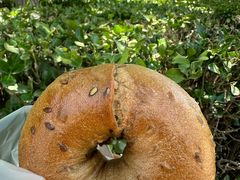 焦糖咖啡芝士贝果-原麦山丘(金地店)