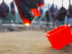 -杭州六谷生态休闲农庄有限公司