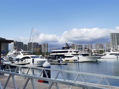 -清水湾旅游度假区