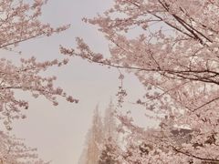 -南京城墙景区