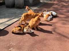 -敬亭山风景名胜区