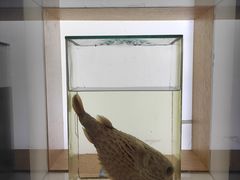 -青岛海底世界-水族馆
