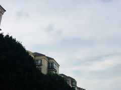 -七宝中学游泳馆