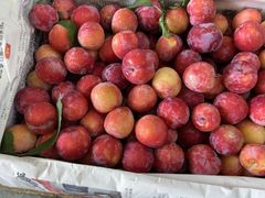 -西郊国际农产品交易中心