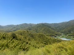 -宁波浙东大竹海景区