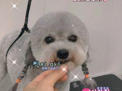 -北京恒爱动物医院(清景园分院)