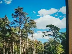 -黑龙江省森林植物园