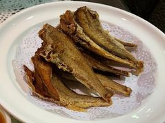 -熠盛粤味·顺德桑拿鸡(永康路店)