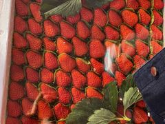 -红星农博物流中心