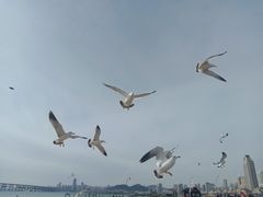 -星海广场