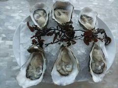 顶级精选生蚝-广州四季酒店·佰鲜汇·现代法餐