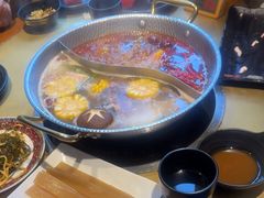 -手选潮汕鲜牛肉火锅(二七广场店)