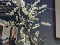 -石家庄市植物园