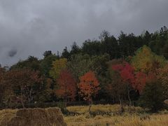 -塔川景区