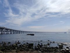 -星海湾跨海大桥