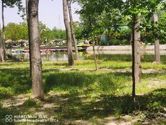 -合肥滨湖国家森林公园