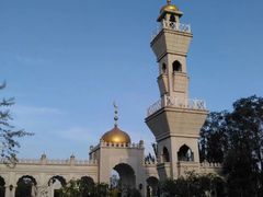 -武清南湖绿博园