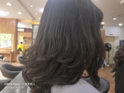 -臻美风剪云
