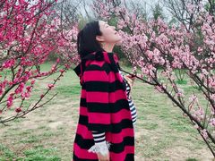 -蜀冈西峰生态公园