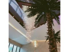 -常州环球恐龙城维景国际大酒店