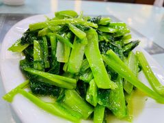 清炒凤尾-廖老妈蹄花店(人民公园陕西街259号店)